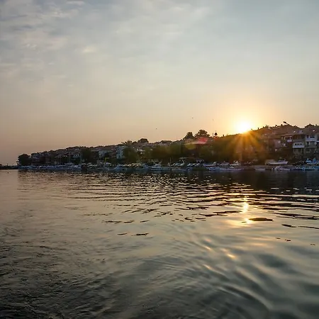 Mysozopol סוזופול